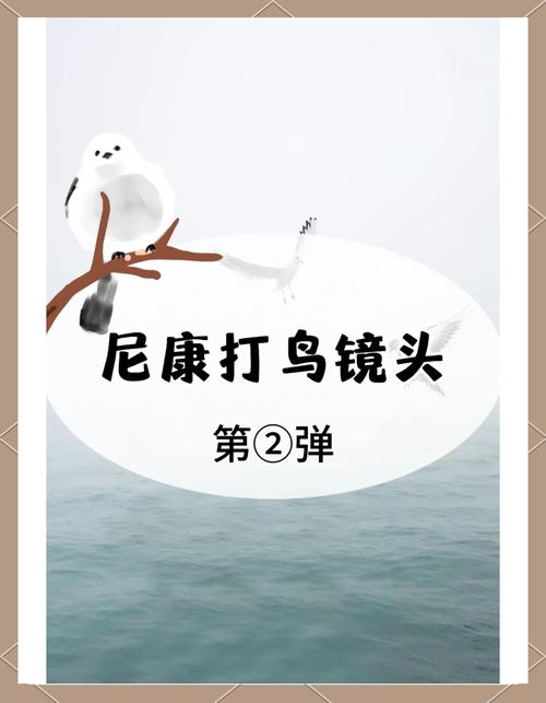 焦距200mm的镜头能打多远的鸟?