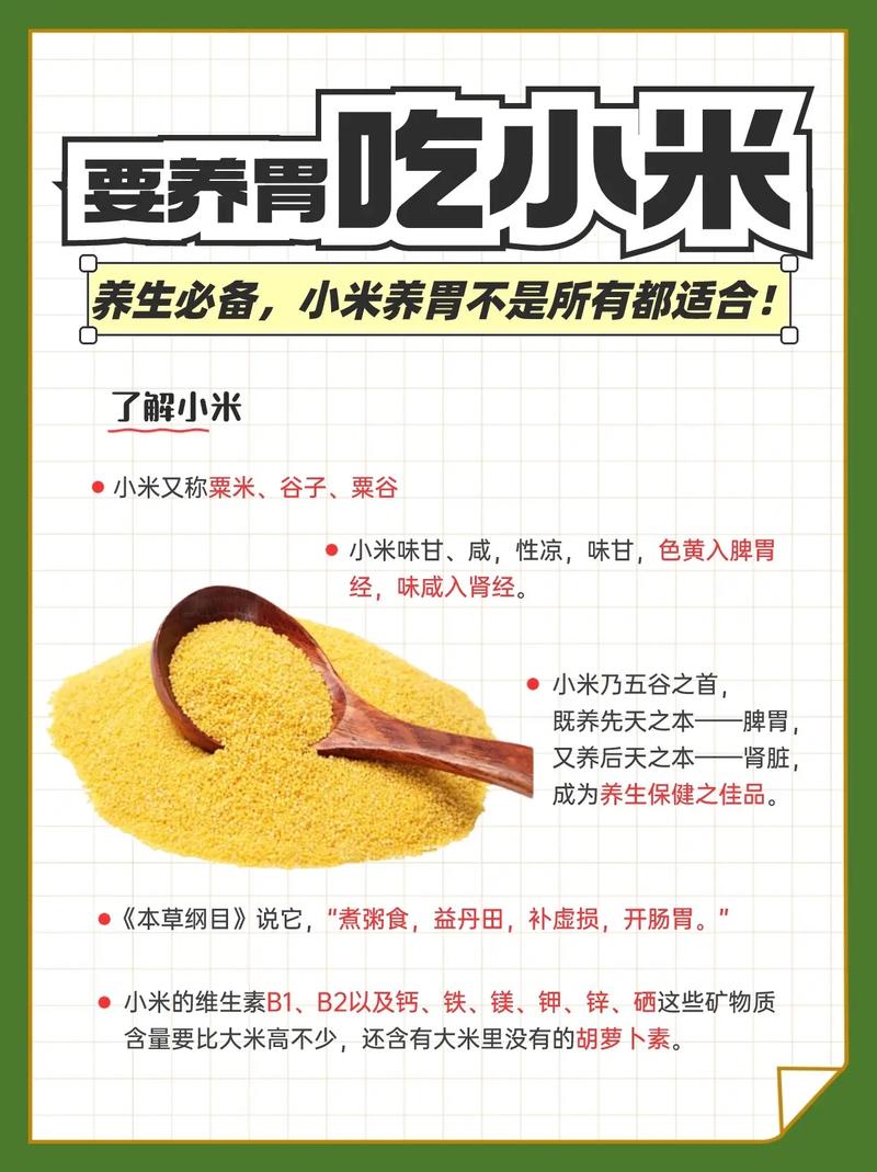 小米的功效与作用及食用方法