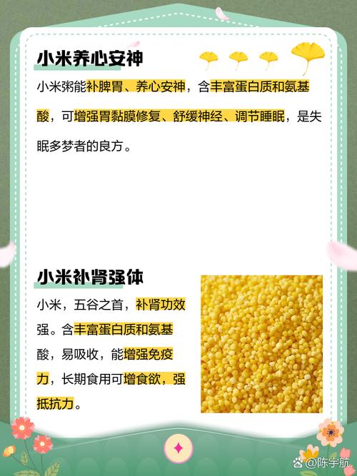 小米的药用功效和作用