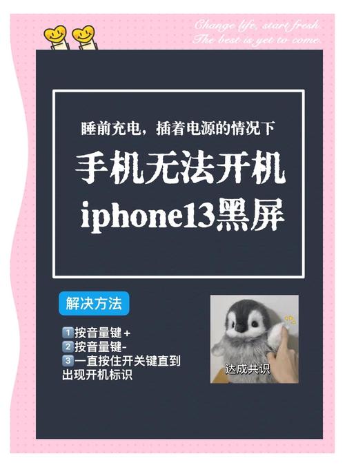 苹果手机触屏失灵如何强制关机