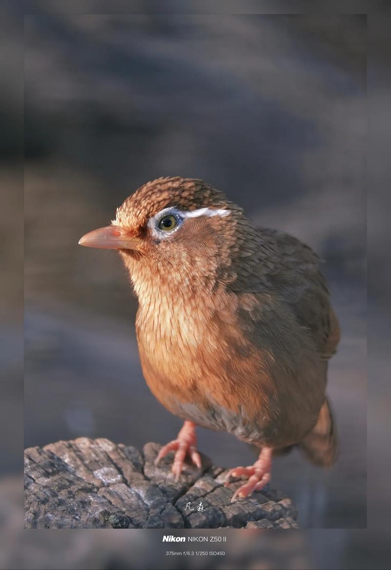 r7和r5区别很大吗