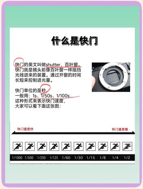 单反相机快门次数什么意思