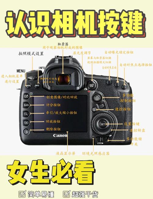 新手买入门单反还是中端单反蜂鸟