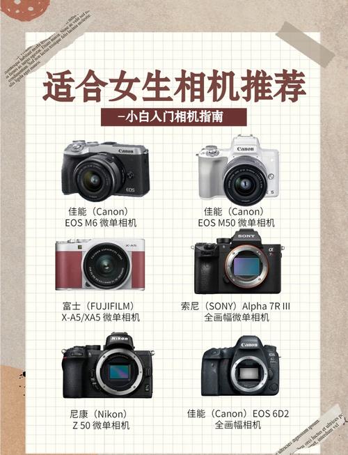 为游客拍照赚钱的单反相机有哪些