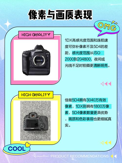 佳能1dx2和5d4哪个画质好