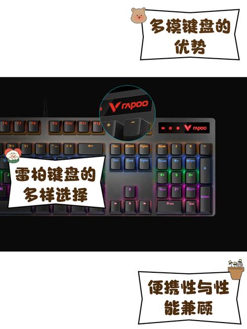 雷柏键盘v500pro拆解(雷柏键盘v500pro)