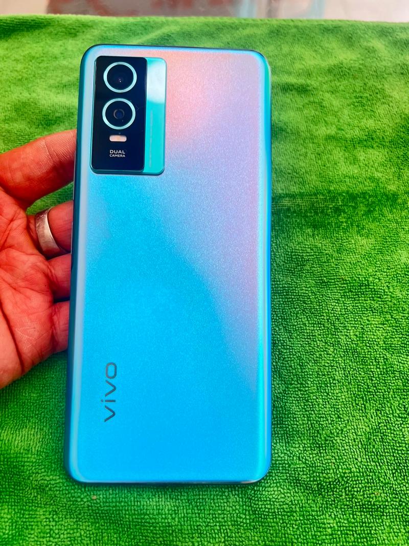 y66和y67的区别是什么?