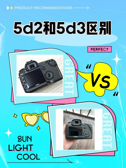 请问5D3和5D2最大的区别是什么啊?