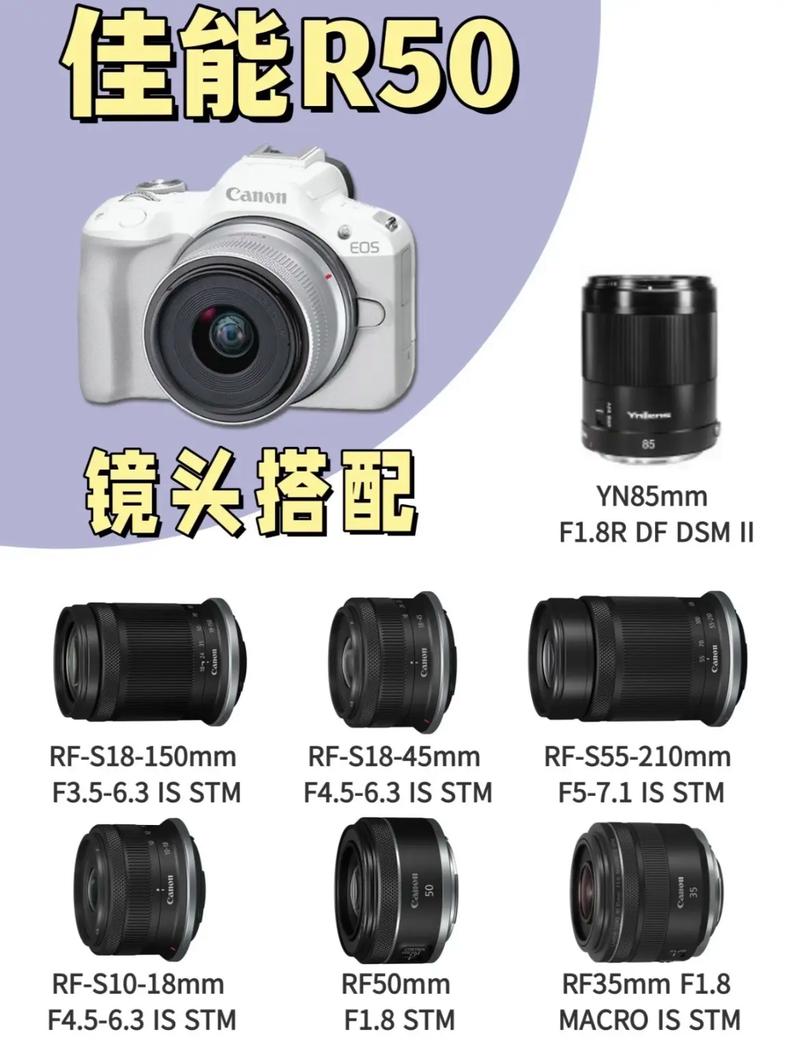 谁了解佳能镜头efs什么意思