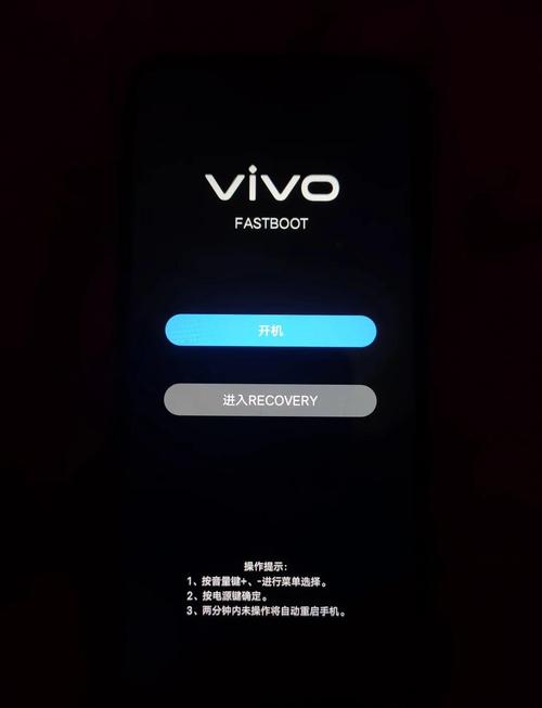 vivox20怎么强制刷机