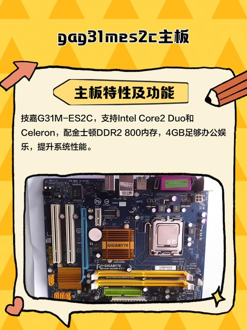 G31主板支持哪些级别的CPU和显卡以满足游戏需求?