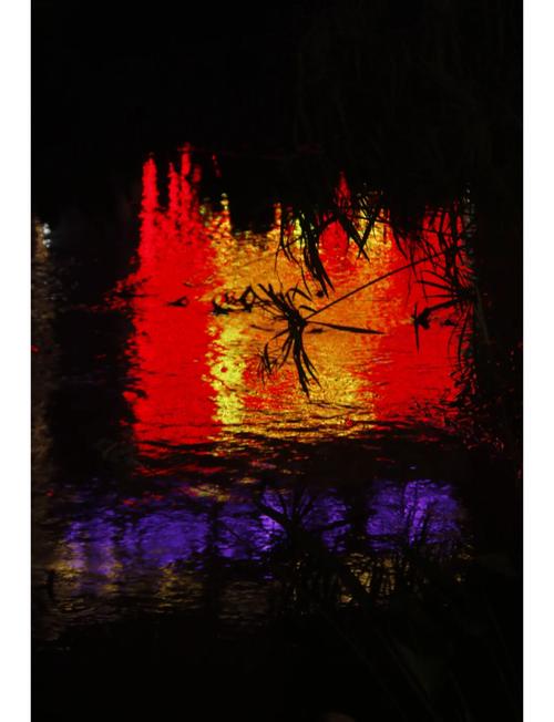 佳能70d如何拍微距