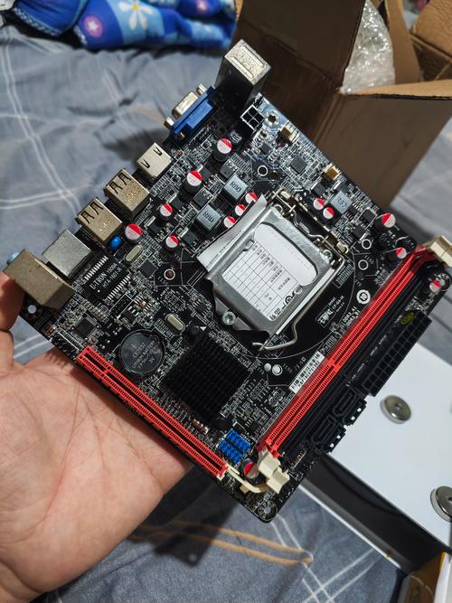 1155针cpu有哪些型号?