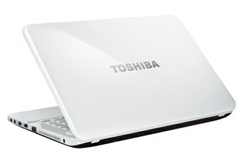 东芝笔记本L800-C02R是什么内存?哪位网友了解?