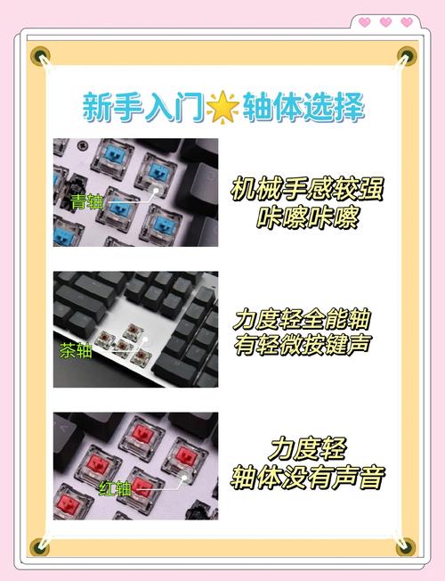 光轴和青轴的区别