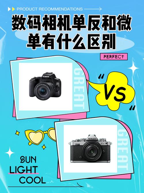 相机分类有哪些?新手相机怎么选?