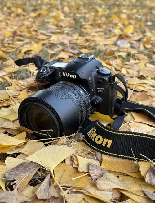 尼康d80夜晚拍摄时如何调理相机