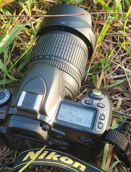 尼康D80相机的使用