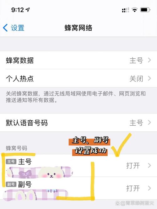 苹果12双卡双待怎么安装