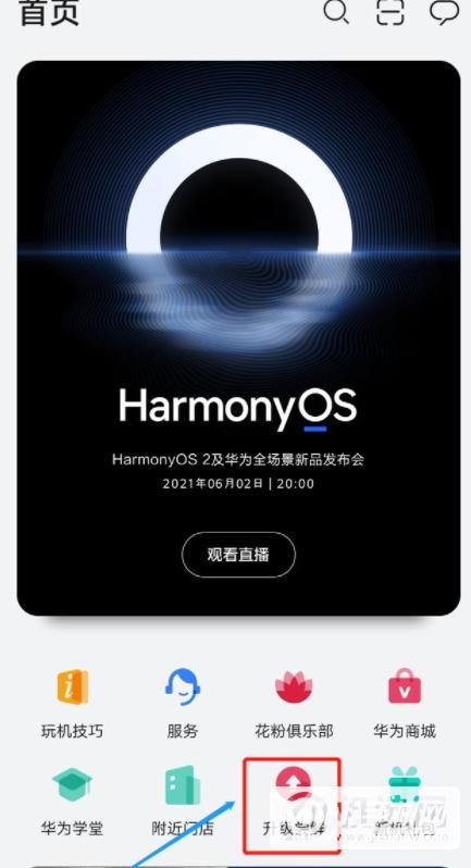 荣耀magic2可以升级鸿蒙系统吗?