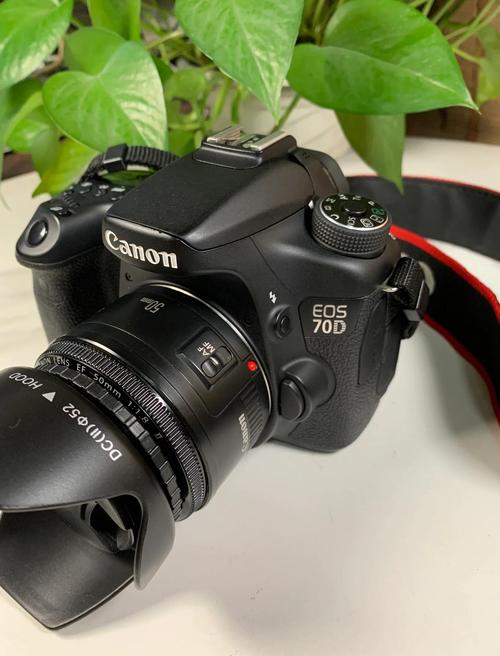 相机佳能70d5d2哪个更好用些?有什么价位的啊?