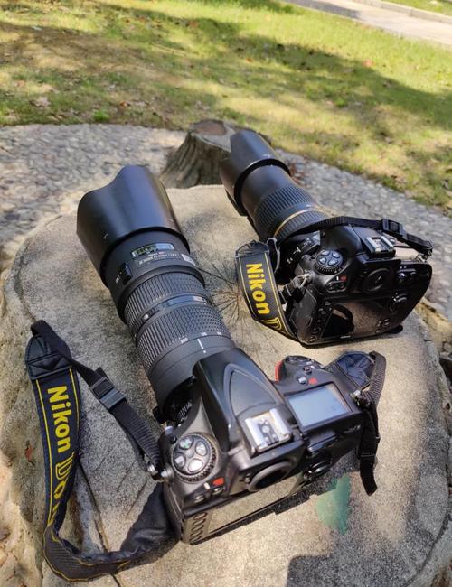 尼康D750,D800,D810以及D3应选哪个好?四个二手机费用差不多。我不知怎...