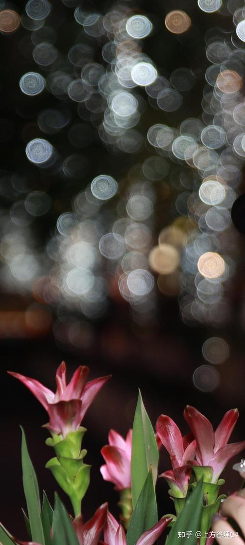 佳能24『7』0数码相机怎么样