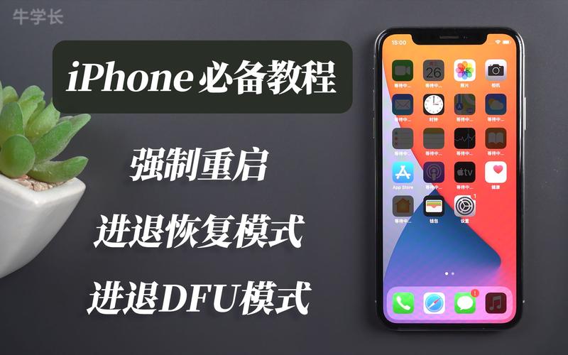 苹果xr黑屏怎么办,总结以下3种知识点