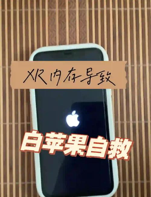 xr白苹果了怎么强制开机