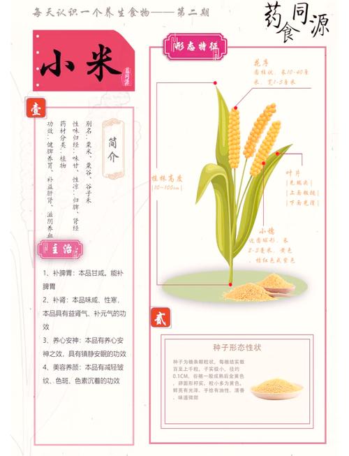 小米的营养价值及功效与作用