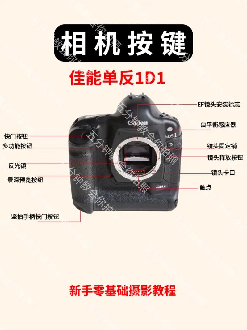 佳能EOS系列相机开关在哪里?