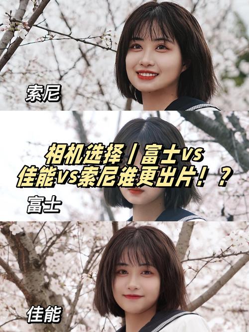 相机索尼HX200与富士HS33EXR哪个好?主要有什么注意事项