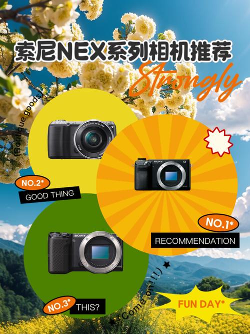 富士单反机与索尼、佳能单反机出图色彩各有什么特点?