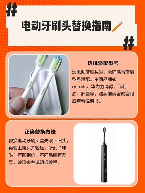 电动牙刷怎么换头?有哪位高手晓得?