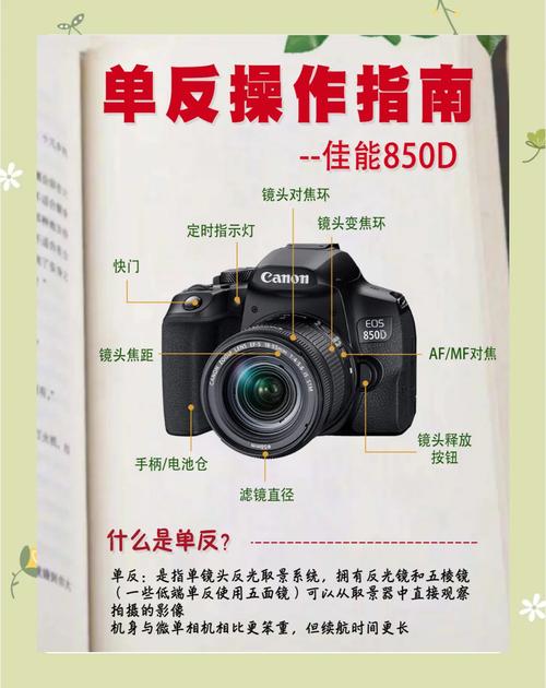 初学者买什么单反相机好