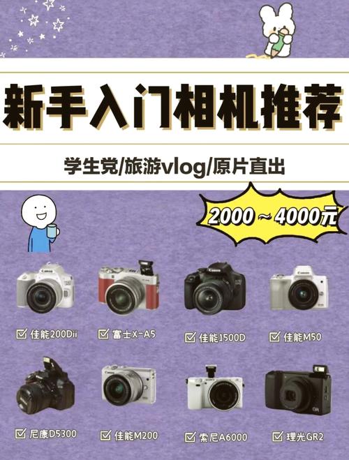 什么牌子的单反相机比较好,大概要多少钱