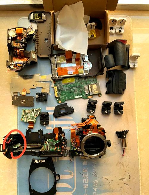 尼康d5600电池怎么拿下来