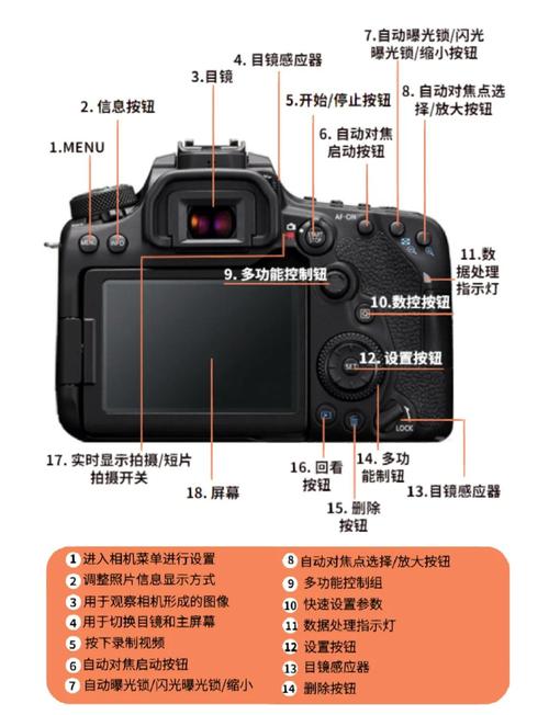 佳能数码相机怎么使用