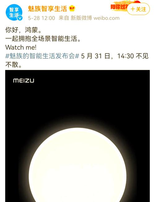 鸿蒙发出邀请,魅族正式宣布决定,与小米态度不同