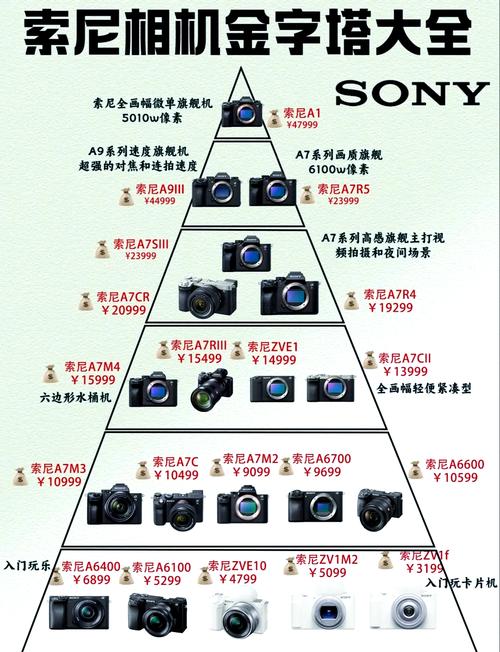 单反相机应该选什么牌子的比较好?