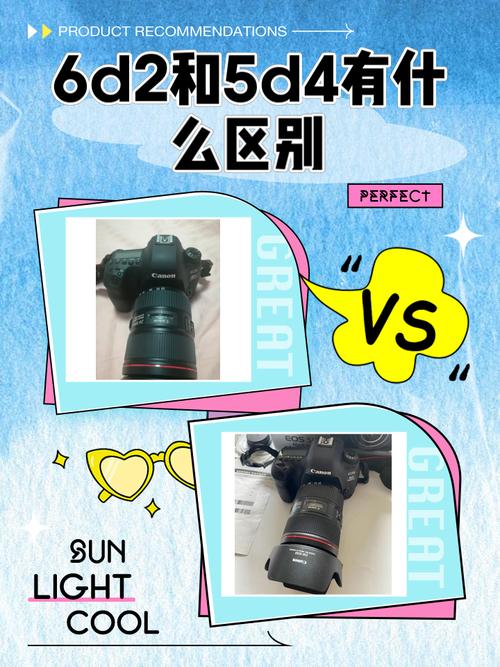 佳能6d2与5d4哪个更好