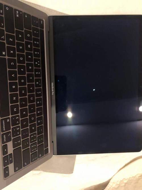 苹果电脑开机黑屏无法唤醒