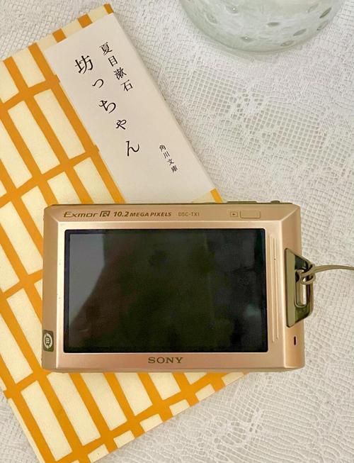 索尼tx1和索尼tx100那个好