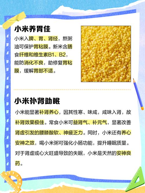 粮食小米的功效和作用,小米的功效与营养