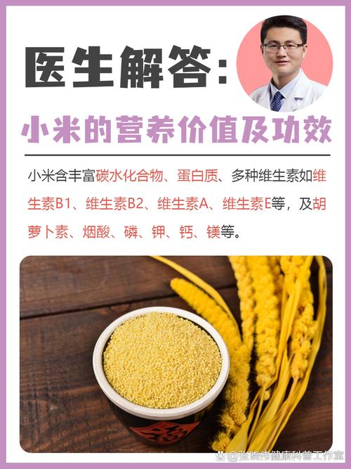 小米功效及营养价值