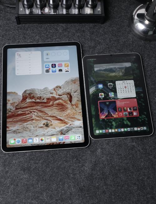 谁可以告诉我买IPADAIR好还是MINI好,求用过MINI的给?