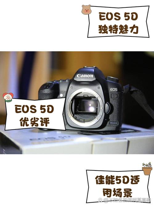 佳能5d25d35d4哪个好