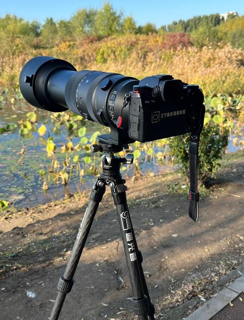 适马60600单反版值得购买吗