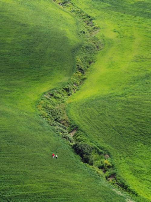拍远景好的微距镜头有哪些