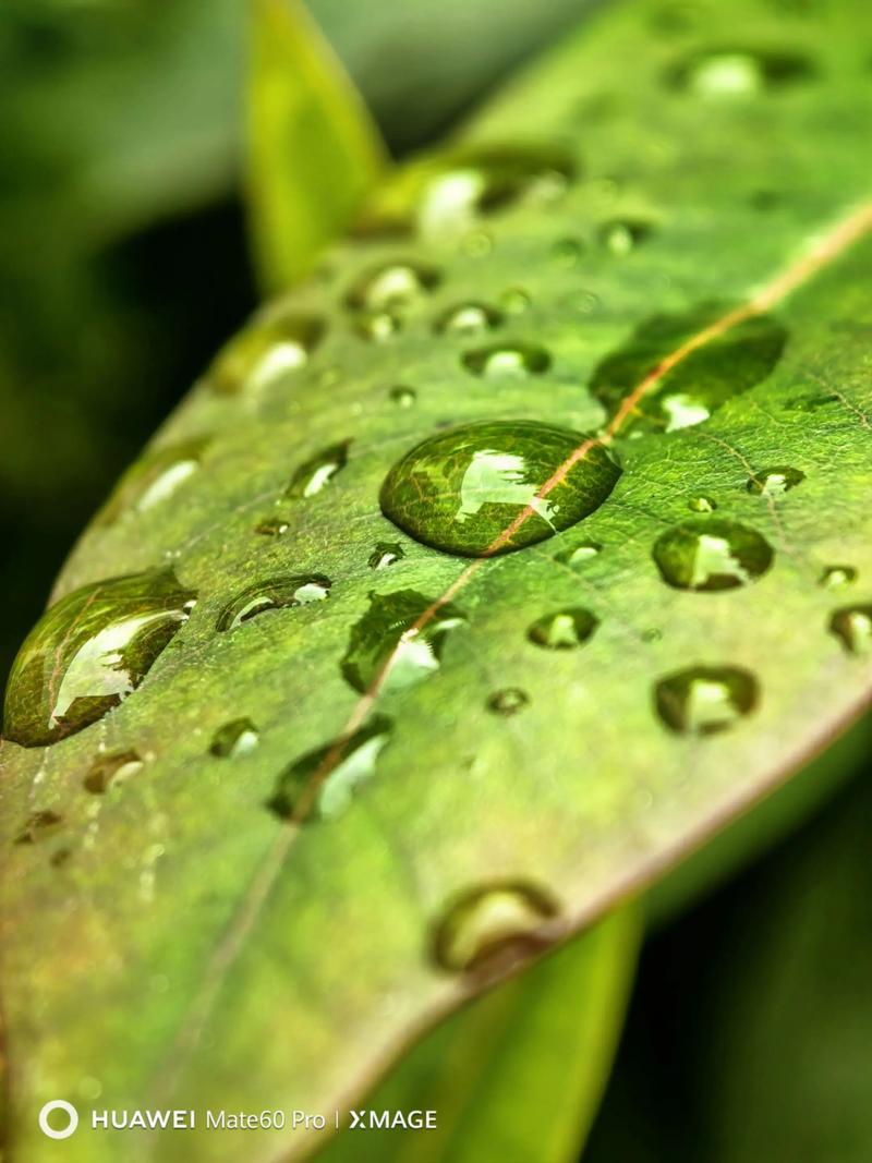 佳能公认比较好的三个镜头